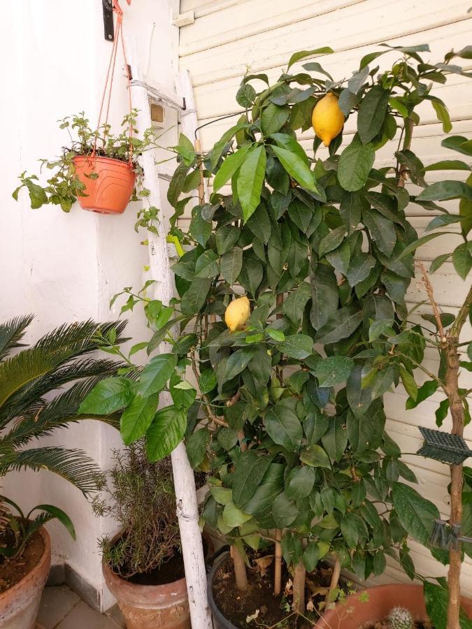 Daria'S Home Apartament Palermo Exterior photo